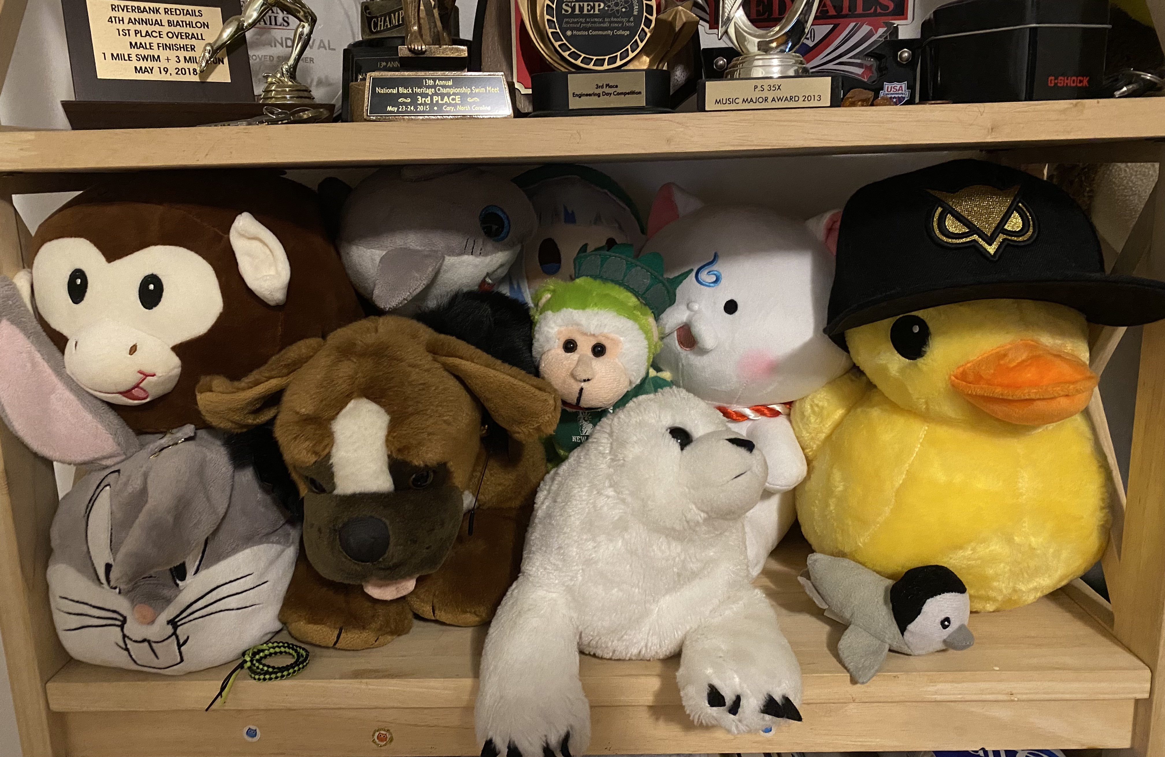 This is a picture of most of my Plushies