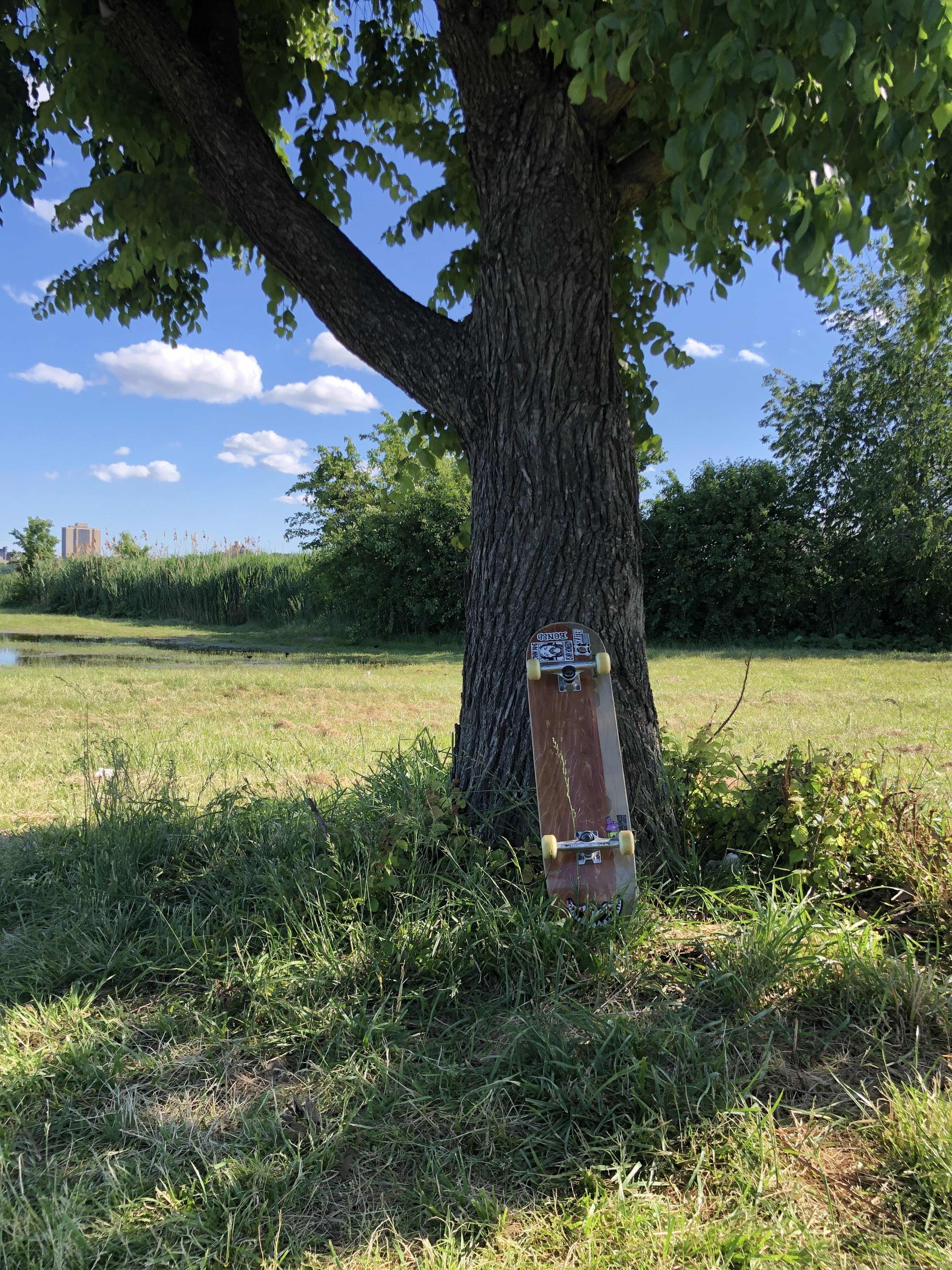 skateboard