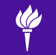 NYU Torch